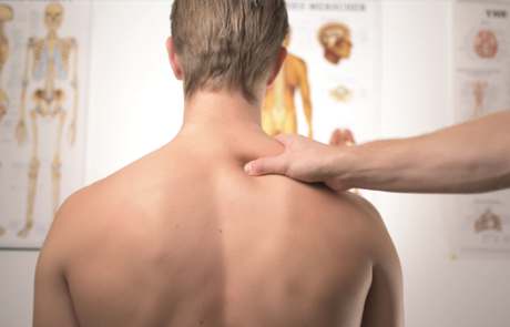 Back Pain Study 530