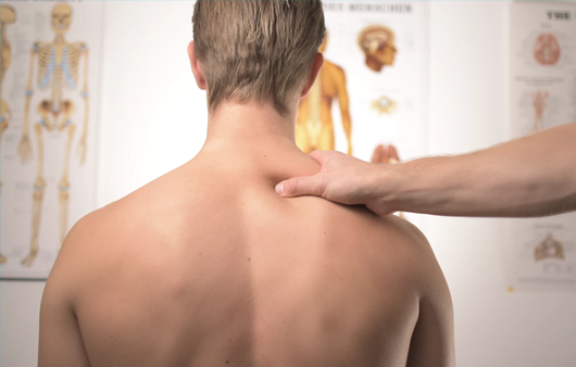 Back Pain Study 530